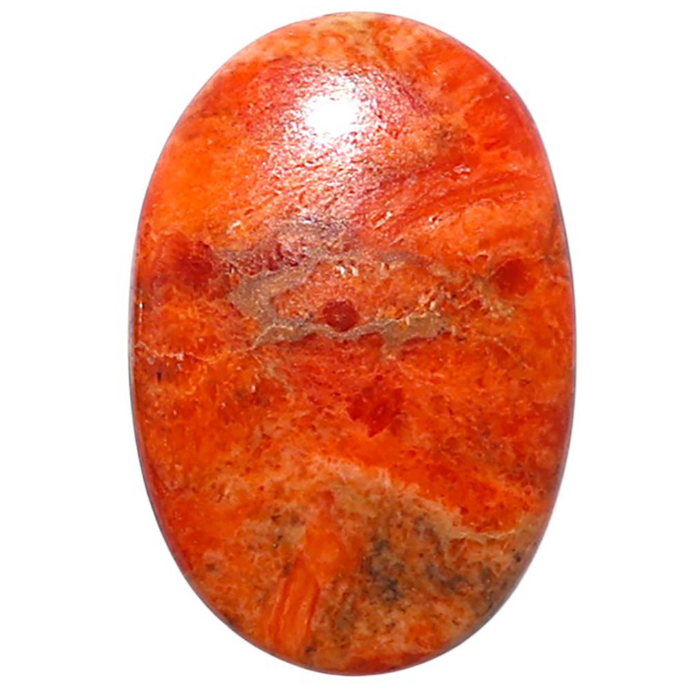 Red Sponge Coral 16.2x24x3.5 mm Oval Shape Polished Gemstone LS156-09168
