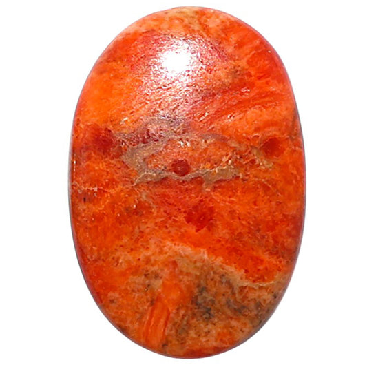 Red Sponge Coral 16.2x24x3.5 mm Oval Shape Polished Gemstone LS156-09168