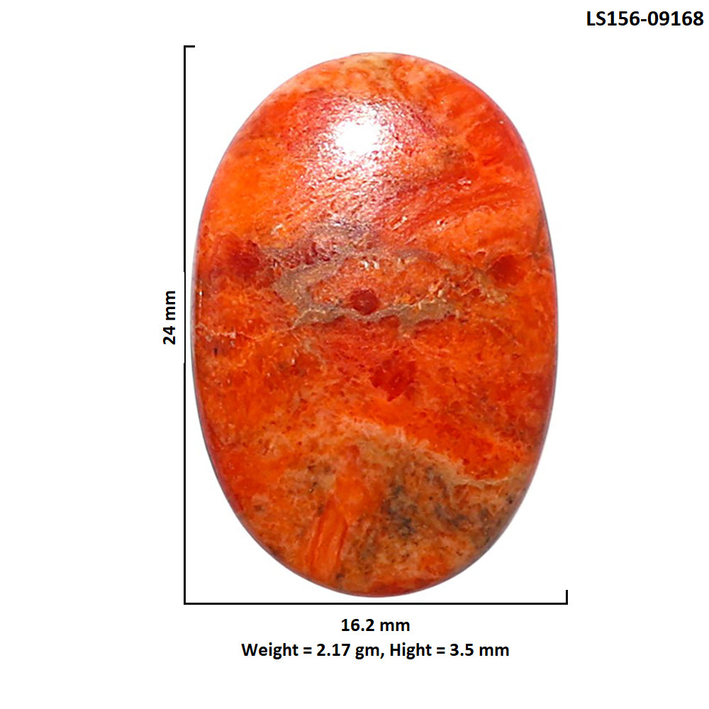 Red Sponge Coral 16.2x24x3.5 mm Oval Shape Polished Gemstone LS156-09168