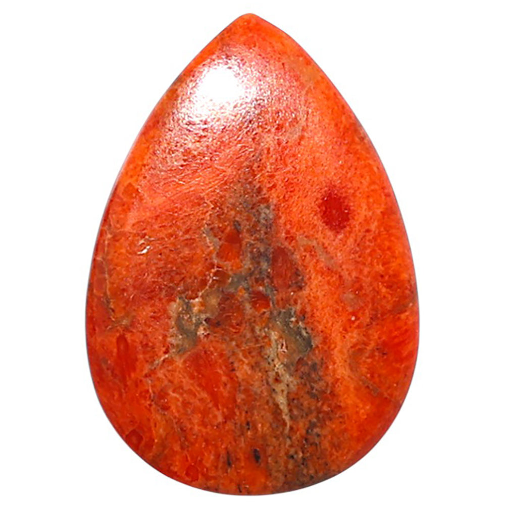 Red Sponge Coral 17.7x25.45x2.5 mm Pear Shape Polished Gemstone LS156-09172