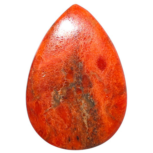 Red Sponge Coral 17.7x25.45x2.5 mm Pear Shape Polished Gemstone LS156-09172