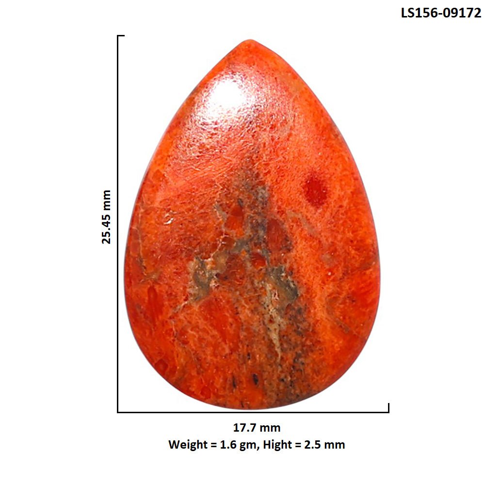 Red Sponge Coral 17.7x25.45x2.5 mm Pear Shape Polished Gemstone LS156-09172