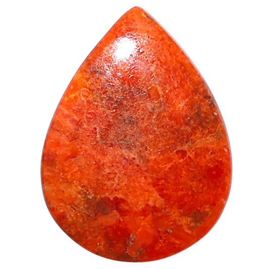 Red Sponge Coral 16x21.4x2.5 mm Pear Shape Polished Gemstone LS156-09173