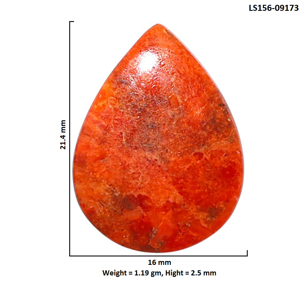 Red Sponge Coral 16x21.4x2.5 mm Pear Shape Polished Gemstone LS156-09173