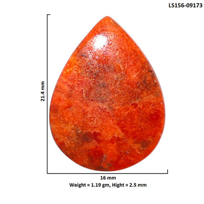 Red Sponge Coral 16x21.4x2.5 mm Pear Shape Polished Gemstone LS156-09173