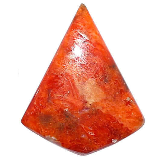 Red Sponge Coral 17.3x21.35x3.7 mm Fancy Shape Polished Gemstone LS156-09174
