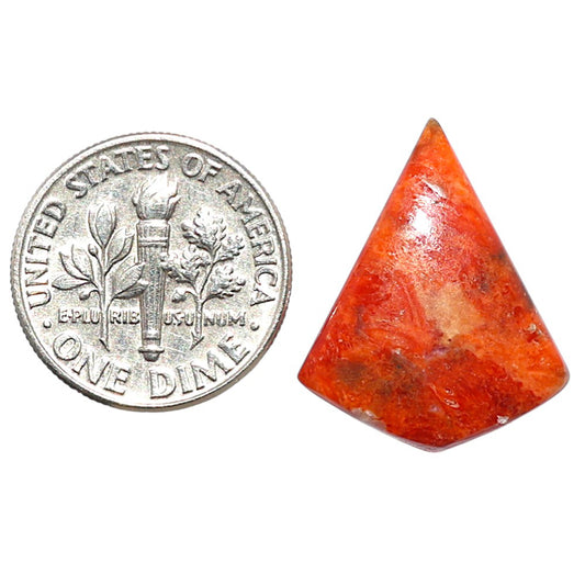 Red Sponge Coral 17.3x21.35x3.7 mm Fancy Shape Polished Gemstone LS156-09174