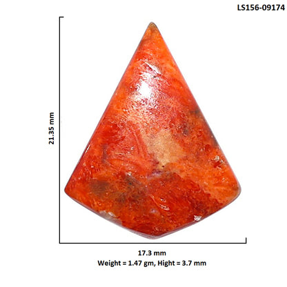 Red Sponge Coral 17.3x21.35x3.7 mm Fancy Shape Polished Gemstone LS156-09174