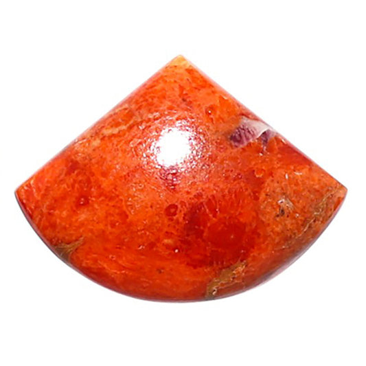 Red Sponge Coral 15.1x20.25x3.7 mm Fancy Shape Polished Gemstone LS156-09175