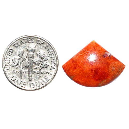 Red Sponge Coral 15.1x20.25x3.7 mm Fancy Shape Polished Gemstone LS156-09175
