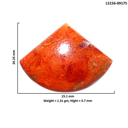 Red Sponge Coral 15.1x20.25x3.7 mm Fancy Shape Polished Gemstone LS156-09175