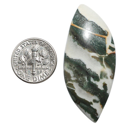 Natural Larsonite Jasper 20.3x46x5.5 mm Fancy Shape Polished Gemstone LS159-09248