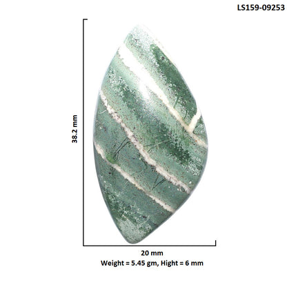 Natural Larsonite Jasper 20x38.2x6 mm Fancy Shape Polished Gemstone LS159-09253