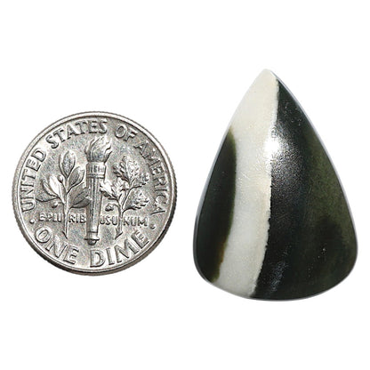 Natural Larsonite Jasper 17.8x25.15x5.5 mm Pear Shape Polished Gemstone LS159-09259