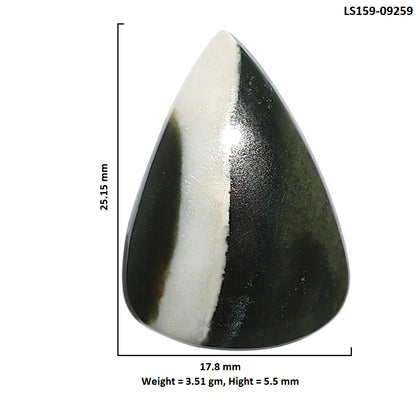 Natural Larsonite Jasper 17.8x25.15x5.5 mm Pear Shape Polished Gemstone LS159-09259