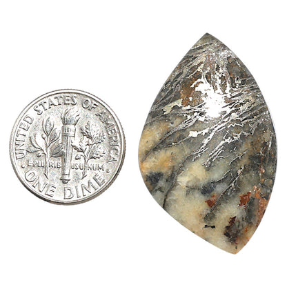 Natural Feder Pyrite 21.55x34.1x5 mm Fancy Shape Polished Gemstone LS160-09262