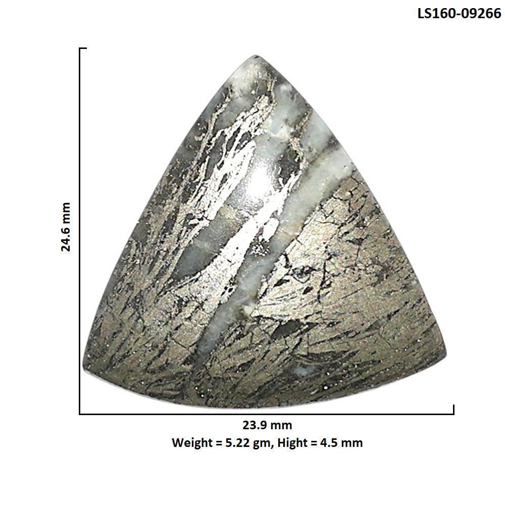 Natural Feder Pyrite 23.9x24.6x4.5 mm Fancy Shape Polished Gemstone LS160-09266