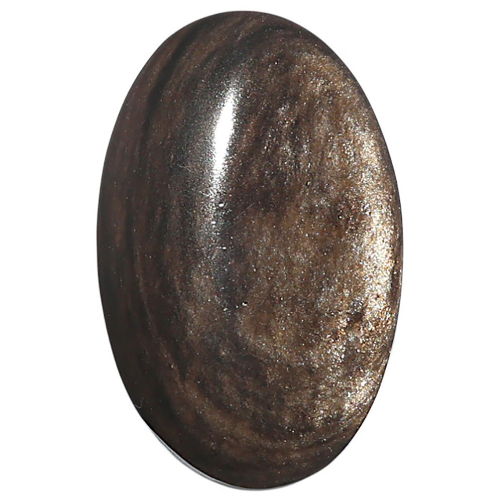 Natural Hypersthene 18.7x29.1x6 mm Oval Shape Polished Gemstone LS161-09287