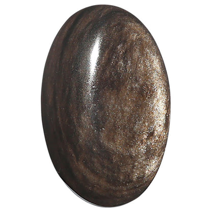 Natural Hypersthene 18.7x29.1x6 mm Oval Shape Polished Gemstone LS161-09287
