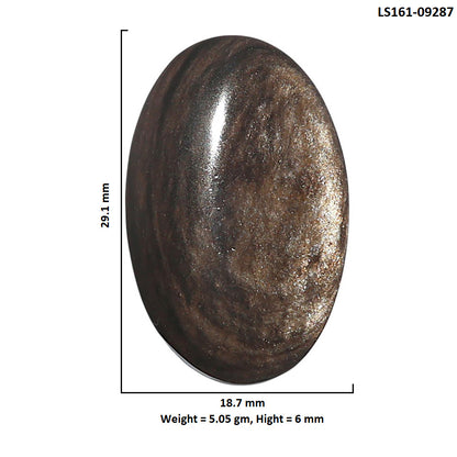 Natural Hypersthene 18.7x29.1x6 mm Oval Shape Polished Gemstone LS161-09287