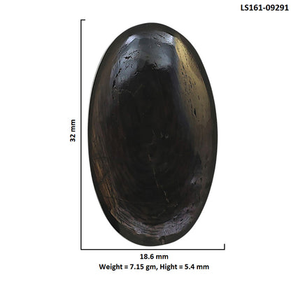 Natural Hypersthene 18.6x32x5.4 mm Oval Shape Polished Gemstone LS161-09291