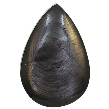 Natural Hypersthene 19x28.15x6.8 mm Pear Shape Polished Gemstone LS161-09298