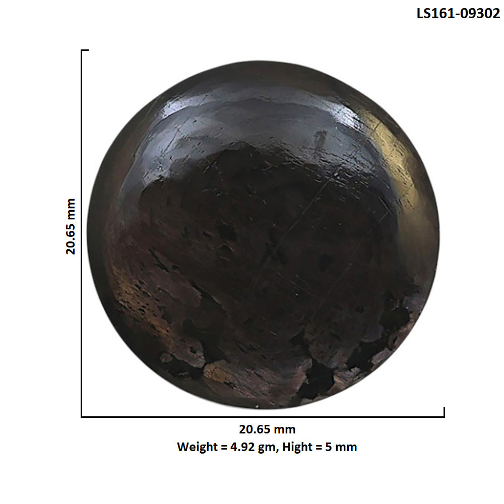 Natural Hypersthene 20.65x20.65x5 mm Round Shape Polished Gemstone LS161-09302