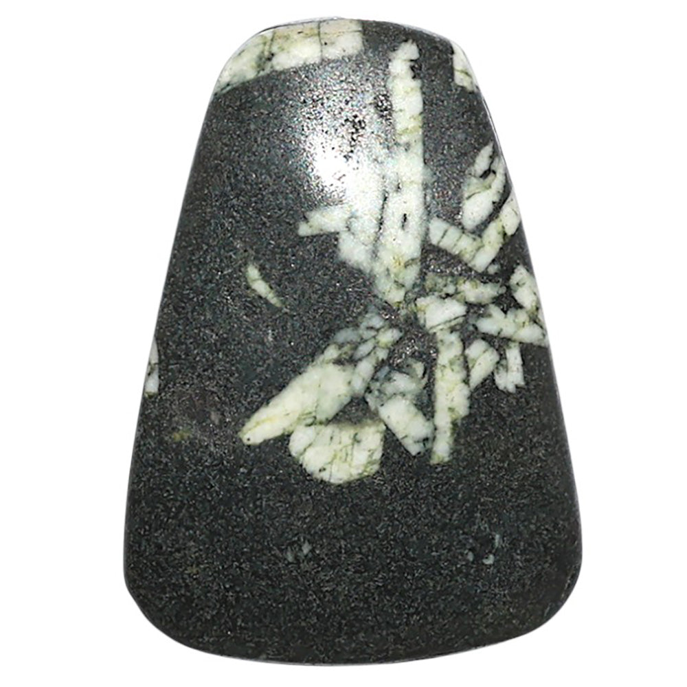 Natural Chinese Writing Stone 20.5x29.1x4.5 mm Fancy Shape Polished Gemstone LS162-09313