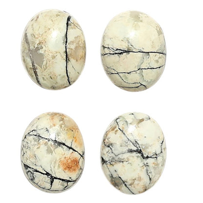 Natural Authentic White Buffalo Turquoise Nevada 8x10x3 mm Oval Shape Polished Gemstone Set of 4 LS165-09432
