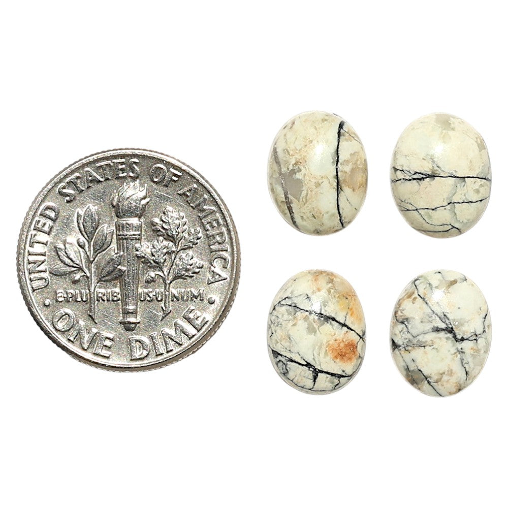 Natural Authentic White Buffalo Turquoise Nevada 8x10x3 mm Oval Shape Polished Gemstone Set of 4 LS165-09432
