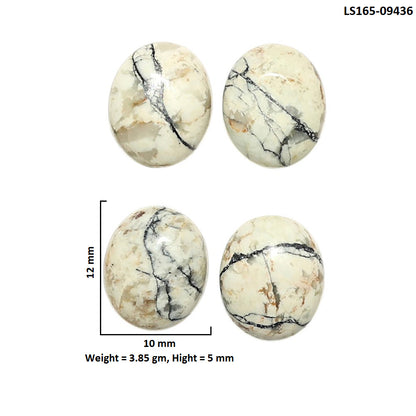 Natural Authentic White Buffalo Turquoise Nevada 10x12x5 mm Oval Shape Polished Gemstone Set of 4 LS165-09436