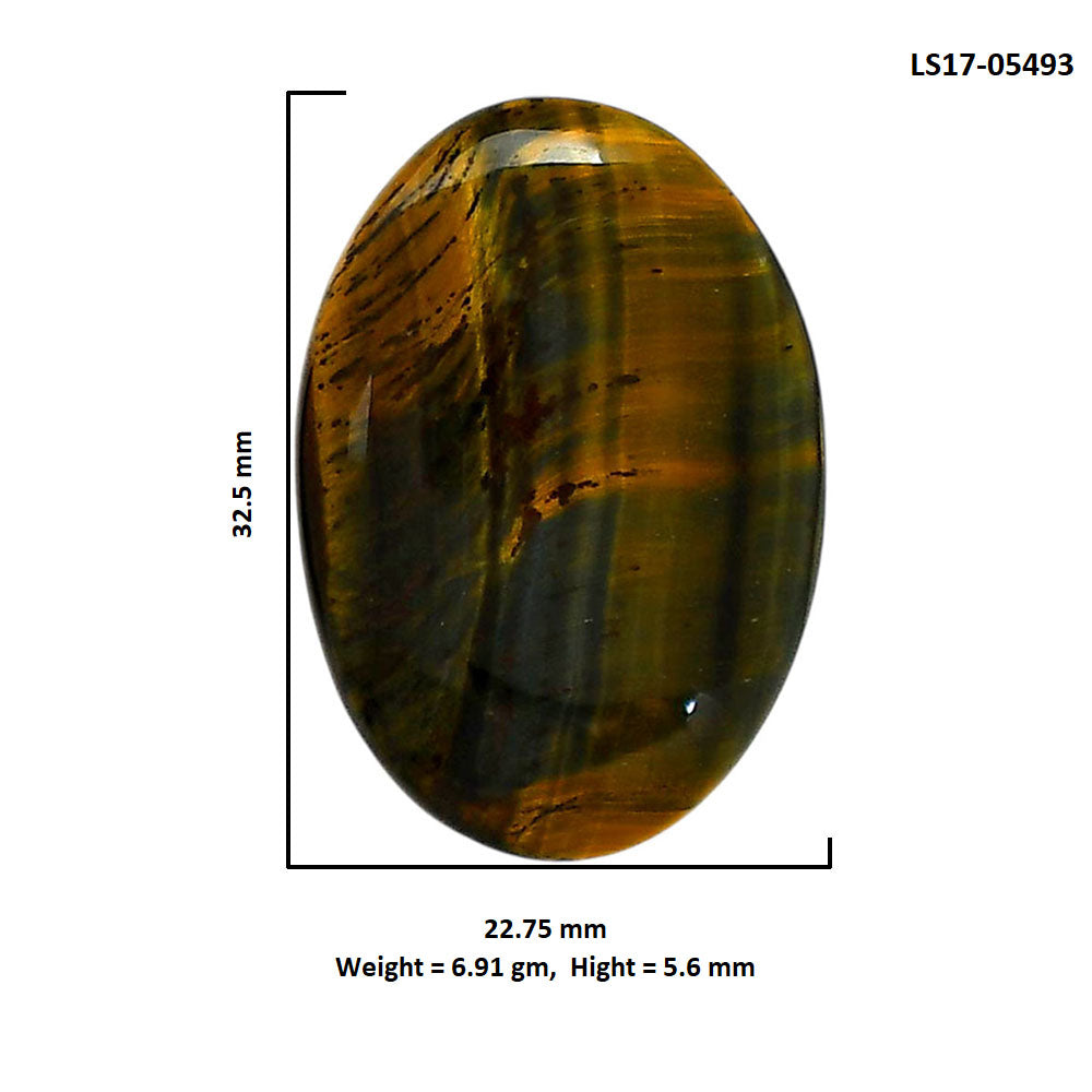 Blue Tiger Eye 22.75x32.5x5.6 mm Oval Shape Polished Gemstone LS17-05493