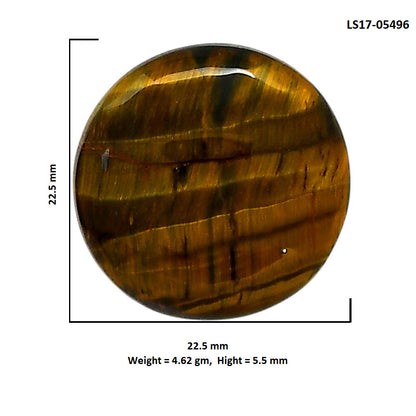 Blue Tiger Eye 22.5x22.5x5.5 mm Round Shape Polished Gemstone LS17-05496