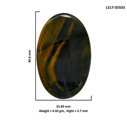 Blue Tiger Eye 25.85x40.6x5.7 mm Oval Shape Polished Gemstone LS17-05503