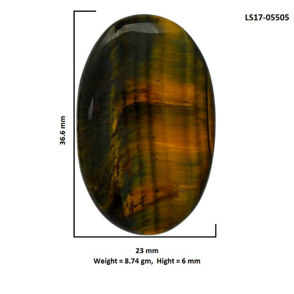 Blue Tiger Eye 23x36.6x6 mm Oval Shape Polished Gemstone LS17-05505