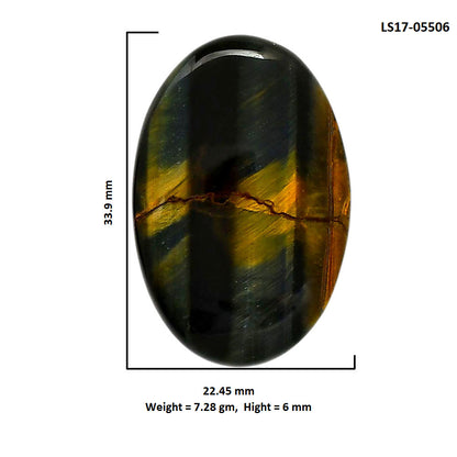Blue Tiger Eye 22.45x33.9x6 mm Oval Shape Polished Gemstone LS17-05506