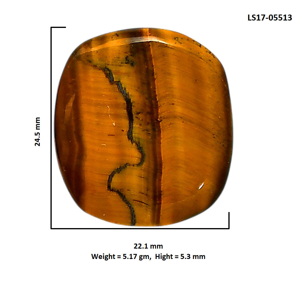 Blue Tiger Eye 22.1x24.5x5.3 mm Cushion Shape Polished Gemstone LS17-05513