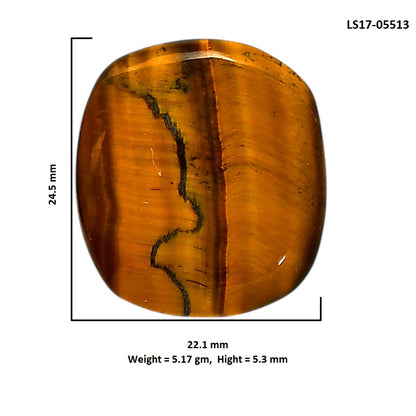 Blue Tiger Eye 22.1x24.5x5.3 mm Cushion Shape Polished Gemstone LS17-05513