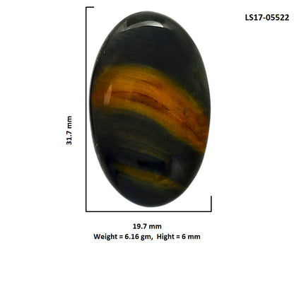 Blue Tiger Eye 19.7x31.7x6 mm Oval Shape Polished Gemstone LS17-05522
