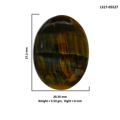 Blue Tiger Eye 20.35x27.2x6 mm Oval Shape Polished Gemstone LS17-05527