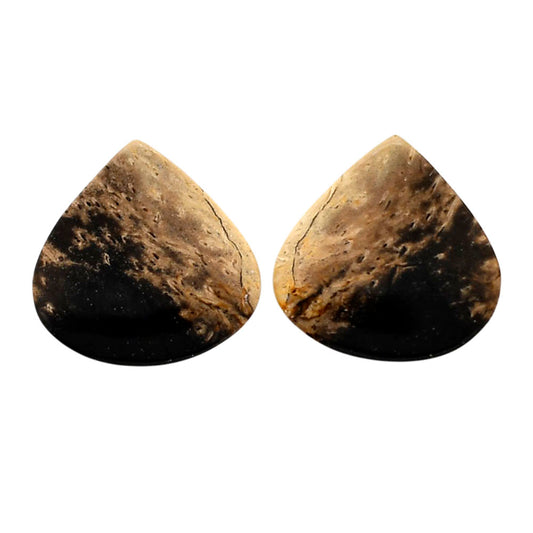 Root Plume Agate Pair 19.5x19.5x4.5 mm Heart Shape Polished Gemstone LS18-04591