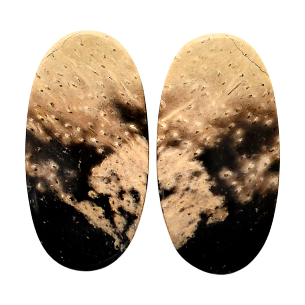 Root Plume Agate Pair 13x25.25x5 mm Oval Shape Polished Gemstone LS18-04592