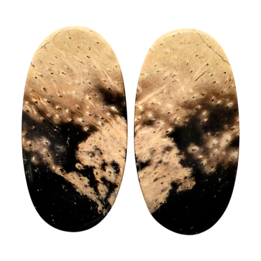 Root Plume Agate Pair 13x25.25x5 mm Oval Shape Polished Gemstone LS18-04592