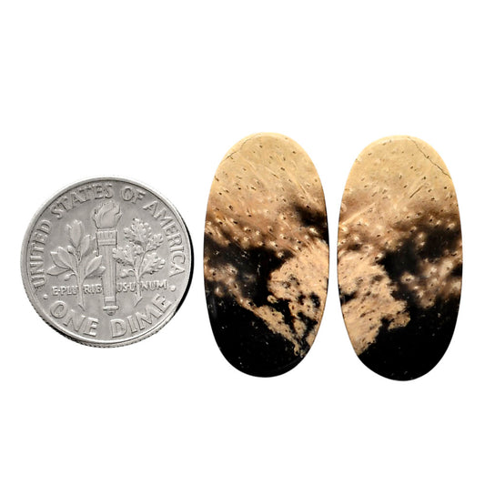 Root Plume Agate Pair 13x25.25x5 mm Oval Shape Polished Gemstone LS18-04592