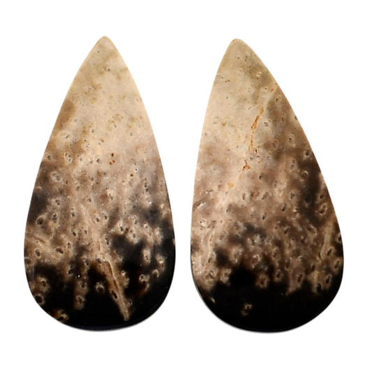 Root Plume Agate Pair 13.4x26.1x4.5 mm Pear Shape Polished Gemstone LS18-04595