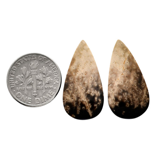 Root Plume Agate Pair 13.4x26.1x4.5 mm Pear Shape Polished Gemstone LS18-04595