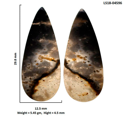 Root Plume Agate Pair 12.5x29.8x4.5 mm Pear Shape Polished Gemstone LS18-04596