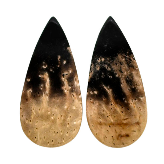 Root Plume Agate Pair 12x25.7x4.5 mm Pear Shape Polished Gemstone LS18-04599