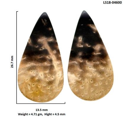 Root Plume Agate Pair 13.5x26.7x4.5 mm Pear Shape Polished Gemstone LS18-04600