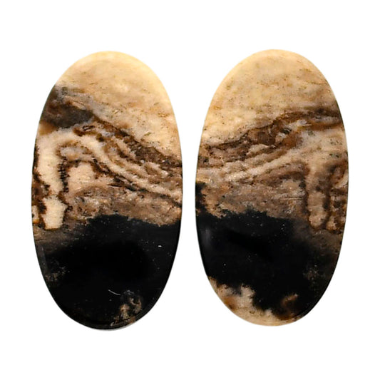 Root Plume Agate Pair 13.3x24.2x4 mm Oval Shape Polished Gemstone LS18-04601